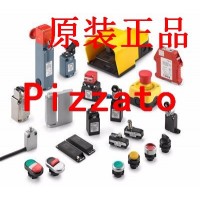 Pizzato 彼扎特 Pizzato 限位開關