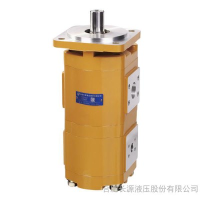 合肥長(zhǎng)源CBG2040/2040-BF**非開(kāi)挖鉆