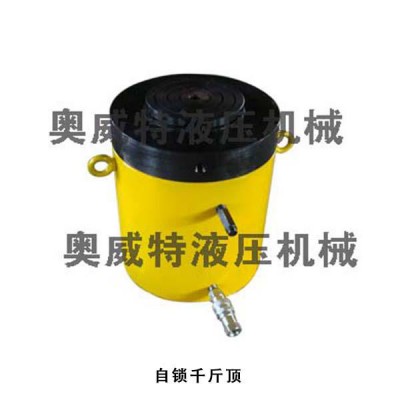 自鎖千斤頂  供應(yīng)機(jī)動泵、膠管、快