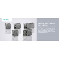 SIEMENS/西門(mén)子6ES7 223-1BL22-0XA8全新原裝
