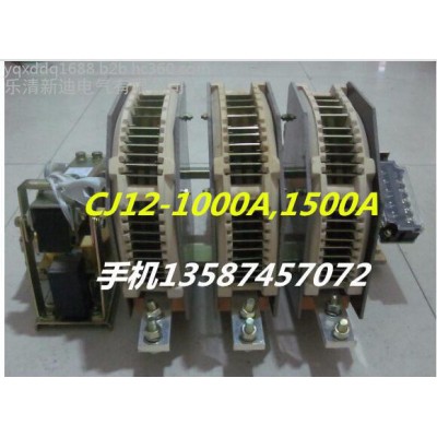 樂(lè)清新迪電氣有限公司 CJ12-1000/3P