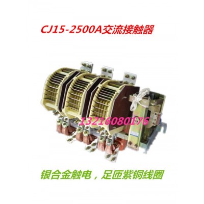 樂(lè)清新迪電氣有限公司 JWCJ15-1000/