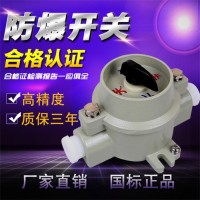 防爆配電箱接線箱防爆控制柜非標(biāo)定制防爆正壓柜防爆磁力啟動防爆防爆配電裝置防爆配電柜