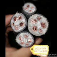 阻燃耐火電纜 阻燃電線電纜 銅芯耐火電纜
