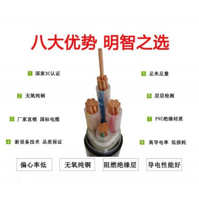 金環(huán)宇電線(xiàn)電纜YJV22-0.6/1KV3*25+1