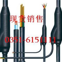 供應(yīng)煤礦用阻燃通信MHYV電纜庫(kù)存  煤礦用電線電纜/現(xiàn)貨銷售電線電纜