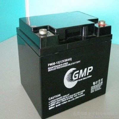 GMP蓄電池PM55-12 12V55AH閥控式鉛