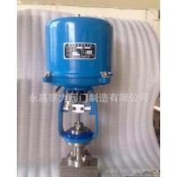ZDLP電子式電動(dòng)單座調(diào)節(jié)閥 電動(dòng)微小流量電動(dòng)調(diào)節(jié)閥&2