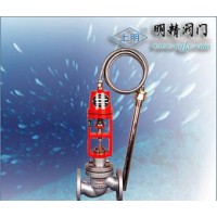 ZZWP型自力式溫度調(diào)節(jié)閥/自力式溫度調(diào)節(jié)閥/調(diào)節(jié)閥