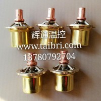 Taibri 泰博銳溫控促銷 溫度調(diào)節(jié)閥芯 溫控閥芯1619759602
