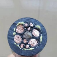 牽引車連接器專用螺旋電纜-CC65-SANLVCA拖鏈電纜