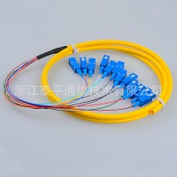12芯SC束狀尾纖,12色SC單模集成尾纖,12芯SC/UPC電信級光纖連接器