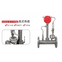 衛(wèi)生級管道流量計 水井流量計 孔板流量計