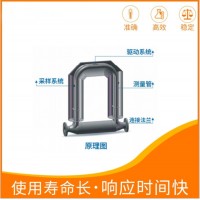 科氏流量計(jì) K系列質(zhì)量流量計(jì)K系列質(zhì)量流量計(jì)  歡迎來電咨詢！~~