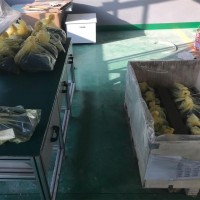 廈門供應(yīng) 全新原裝 力士樂 馬達(dá) A2FM6361W-VBB100