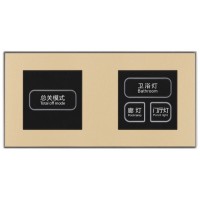 華慧智聯(lián)輕觸智能開(kāi)關(guān)B款二連體