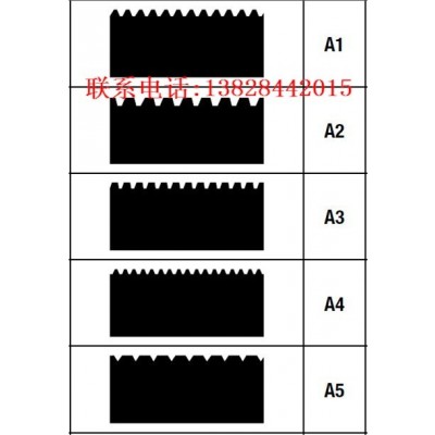 德國(guó)WOLFF沃爾夫刮膠齒條A1A2A5B1B2