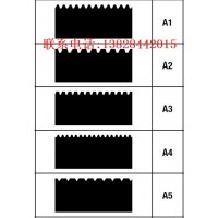 德國(guó)WOLFF沃爾夫刮膠齒條A1A2A5B1B2