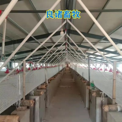 豬場(chǎng)自動(dòng)喂料設(shè)備全自動(dòng)上料線塞盤