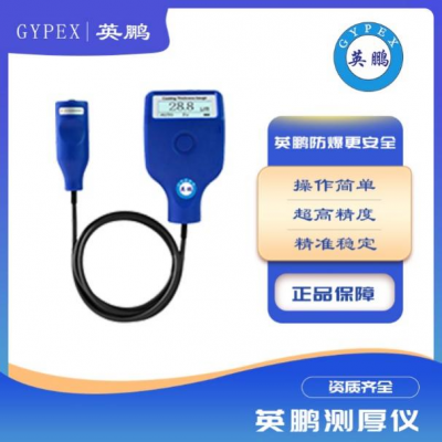 便攜式大量程油漆覆層圖層測(cè)厚儀