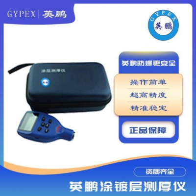 一體式涂鍍層測(cè)厚儀兩用涂層測(cè)厚儀
