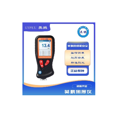 二合一型汽車(chē)油漆涂鍍層測(cè)厚儀