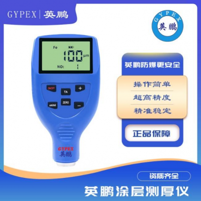 檢測(cè)儀顏料油漆厚度測(cè)量?jī)x