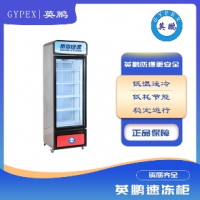 生鮮食品速凍柜立式冰柜商用冰箱冷柜