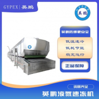 隧道式液氮速凍機(jī)速凍大蝦海鮮餃子果蔬