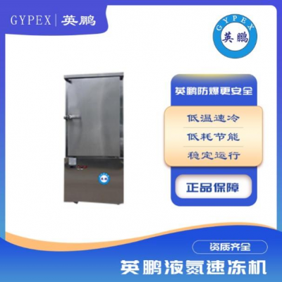 面食肉類海鮮果蔬液氮速凍機(jī)無(wú)霜觸