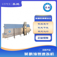 海鮮小龍蝦液氮速凍設備果蔬隧道式速凍機