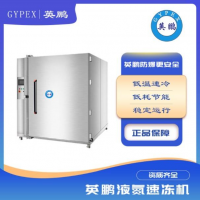 商用大型速凍冷柜生鮮榴蓮海參低溫速凍機(jī)