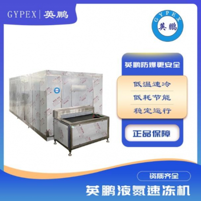 水果蔬菜肉類大型冷庫(kù)隧道式速凍機(jī)