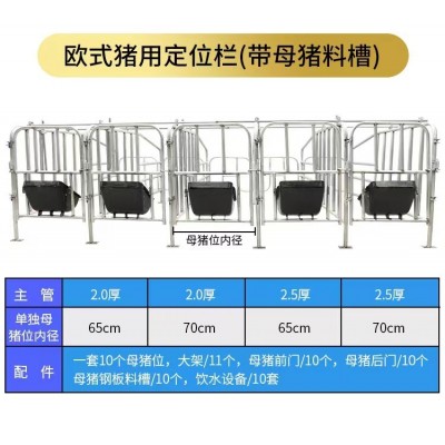 養(yǎng)殖場(chǎng)母豬定位欄的安裝與使用