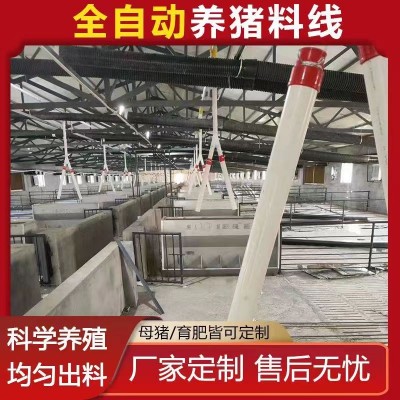 豬場用塞盤鏈條自動(dòng)輸送飼料每個(gè)豬