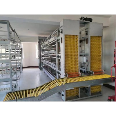 雞場自動(dòng)化撿蛋機(jī)自動(dòng)化集蛋器