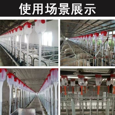 豬場(chǎng)定量杯 母豬定量杯 料線定量器 