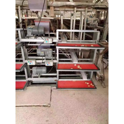智能化自動(dòng)撿蛋機(jī)蛋雞用收蛋機(jī)升降