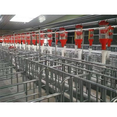 豬場(chǎng)自動(dòng)化喂料線 篩盤(pán)輸送飼料 驅(qū)