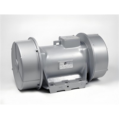 INVICTA VIBRATORS振動器